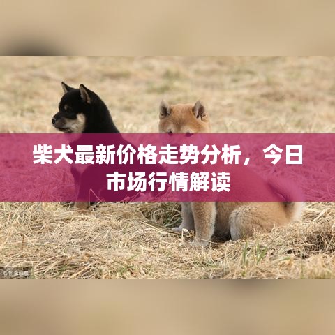 2025年6月 第122页