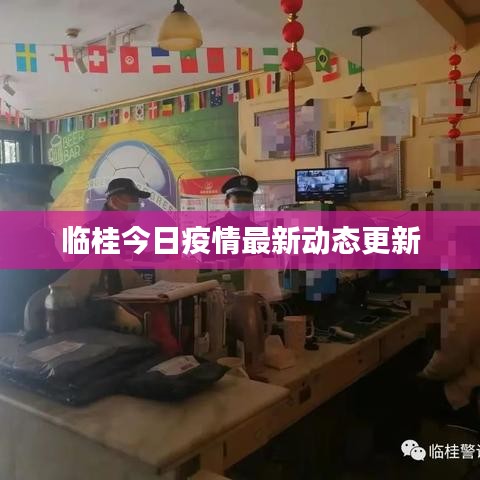 临桂今日疫情最新动态更新