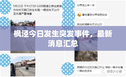 枫泾今日发生突发事件，最新消息汇总