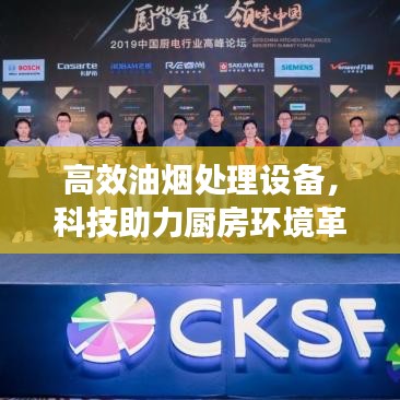 高效油烟处理设备，科技助力厨房环境革新
