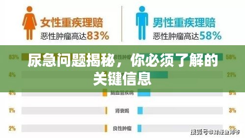 尿急问题揭秘，你必须了解的关键信息