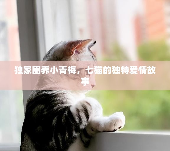 独家圈养小青梅，七猫的独特爱情故事