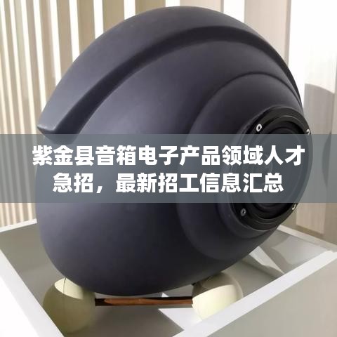 紫金县音箱电子产品领域人才急招，最新招工信息汇总