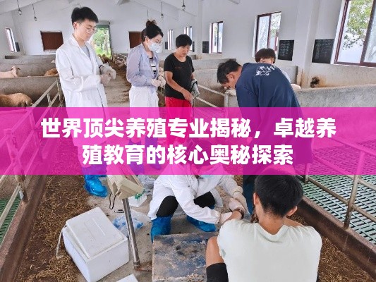 支付方式 第18页