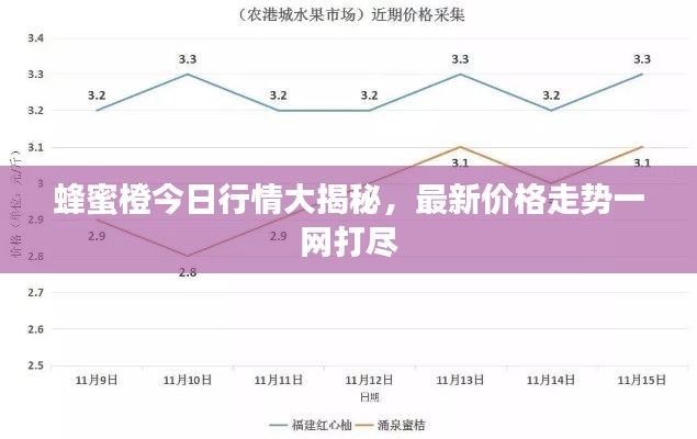 蜂蜜橙今日行情大揭秘，最新价格走势一网打尽