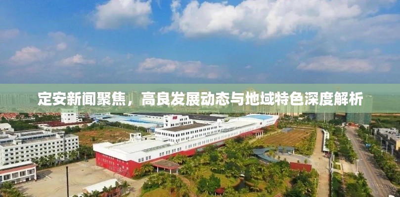 定安新闻聚焦，高良发展动态与地域特色深度解析