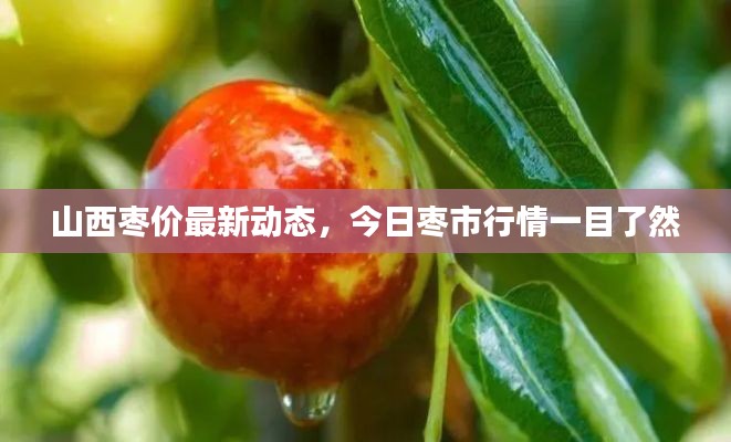 山西枣价最新动态，今日枣市行情一目了然