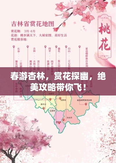 春游杏林，赏花探幽，绝美攻略带你飞！