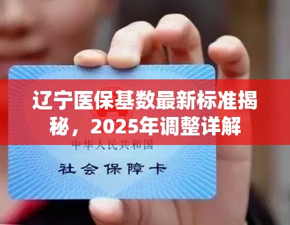 辽宁医保基数最新标准揭秘，2025年调整详解