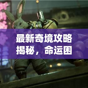 最新奇境攻略揭秘，命运困境突破指南