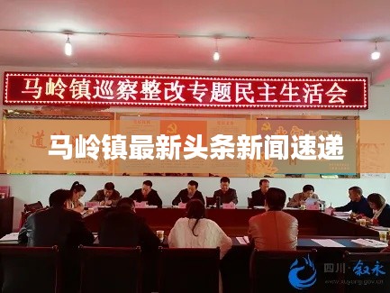马岭镇最新头条新闻速递