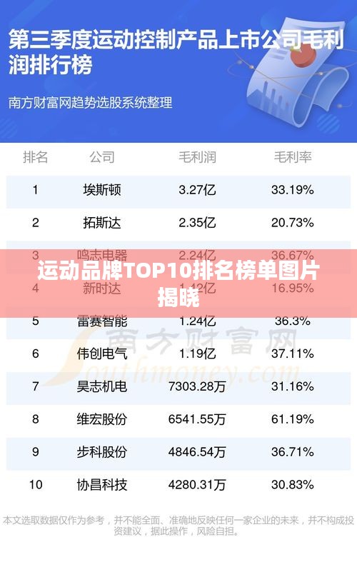 运动品牌TOP10排名榜单图片揭晓
