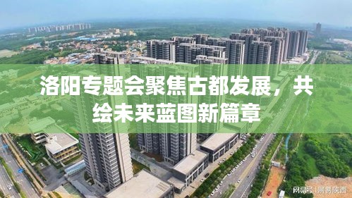 洛阳专题会聚焦古都发展，共绘未来蓝图新篇章