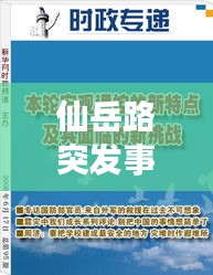 仙岳路突发事故应对挑战，城市安全保障行动启动
