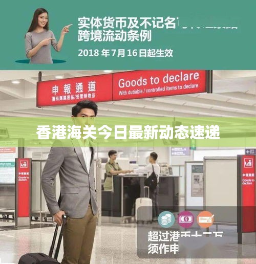 香港海关今日最新动态速递