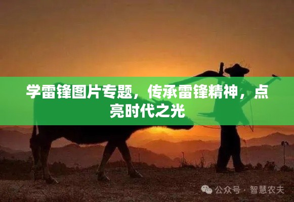 学雷锋图片专题，传承雷锋精神，点亮时代之光