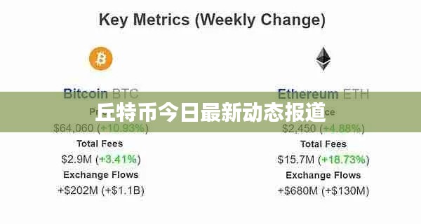 丘特币今日最新动态报道