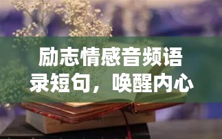 早生贵子
