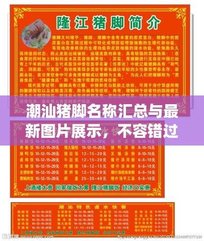 潮汕猪脚名称汇总与最新图片展示，不容错过！