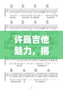 许巍吉他魅力，揭秘其在吉他世界的排名！