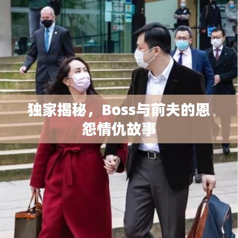 独家揭秘，Boss与前夫的恩怨情仇故事