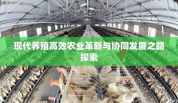 现代养殖高效农业革新与协同发展之路探索