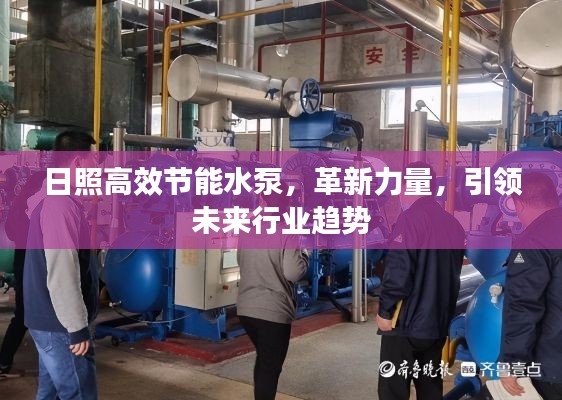 日照高效节能水泵，革新力量，引领未来行业趋势