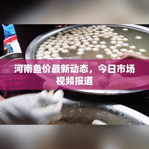 河南鱼价最新动态，今日市场视频报道