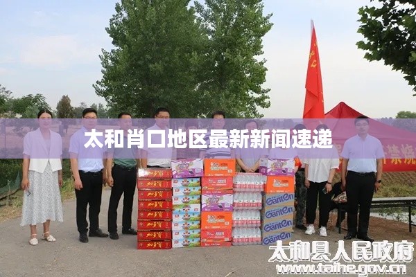 太和肖口地区最新新闻速递