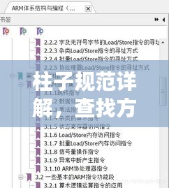 柱子规范详解，查找方法与理解指南