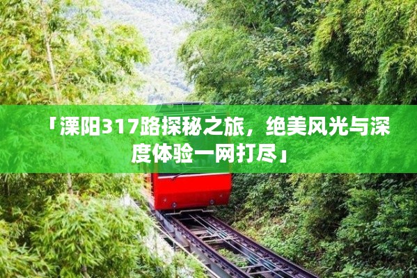 「溧阳317路探秘之旅，绝美风光与深度体验一网打尽」