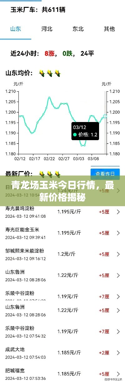 青龙场玉米今日行情，最新价格揭秘
