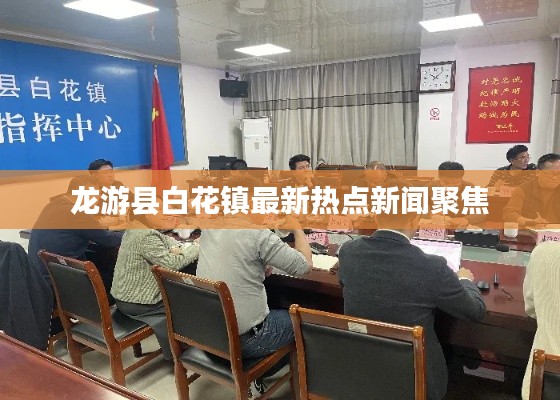 龙游县白花镇最新热点新闻聚焦