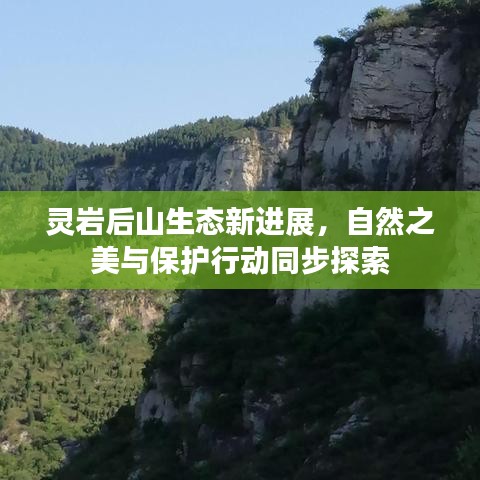 灵岩后山生态新进展，自然之美与保护行动同步探索