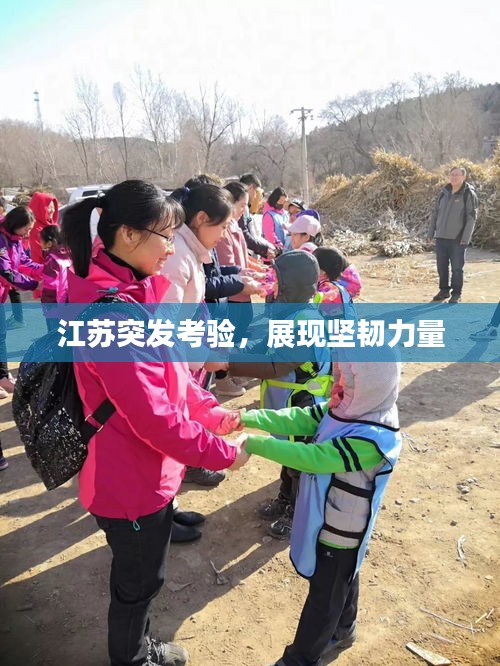 江苏突发考验，展现坚韧力量