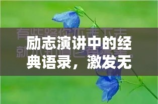 励志演讲中的经典语录，激发无限潜能的力量之源