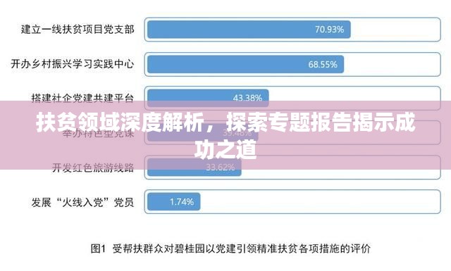 扶贫领域深度解析，探索专题报告揭示成功之道
