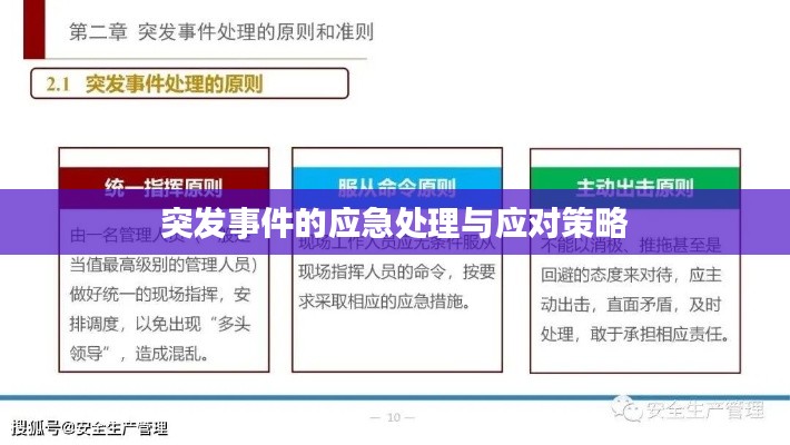 突发事件的应急处理与应对策略