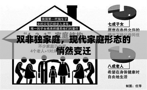 双非独家庭，现代家庭形态的悄然变迁