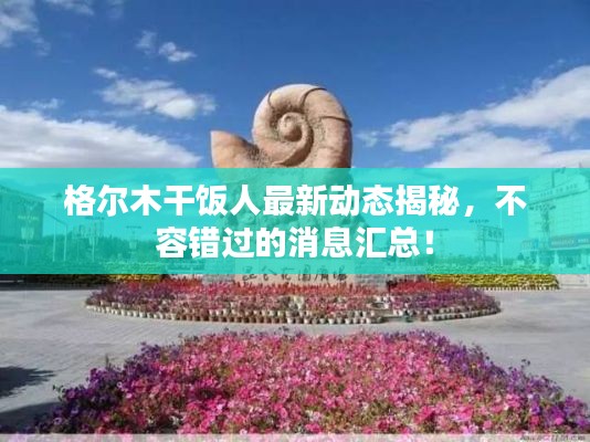 格尔木干饭人最新动态揭秘，不容错过的消息汇总！