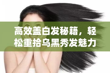高效盖白发秘籍，轻松重拾乌黑秀发魅力！