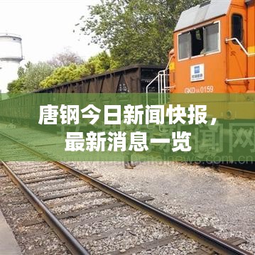 鲜花用途 第12页
