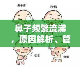 鼻子频繁流涕，原因解析、管理与预防策略