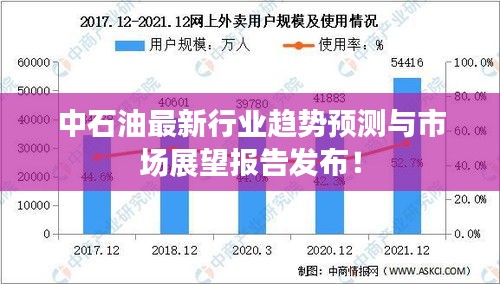 中石油最新行业趋势预测与市场展望报告发布！