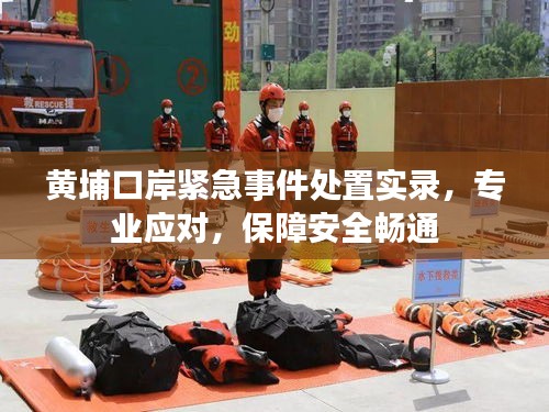 黄埔口岸紧急事件处置实录，专业应对，保障安全畅通