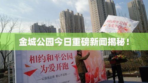 金城公园今日重磅新闻揭秘！