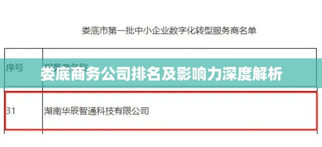娄底商务公司排名及影响力深度解析