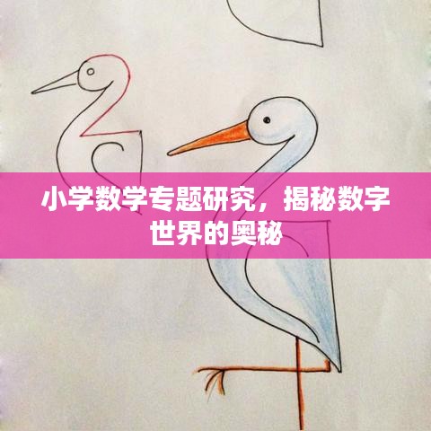小学数学专题研究，揭秘数字世界的奥秘