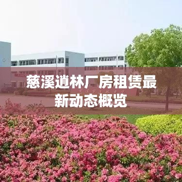 慈溪逍林厂房租赁最新动态概览