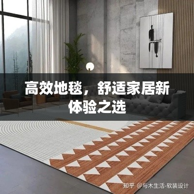高效地毯，舒适家居新体验之选